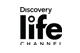 Discovery Life